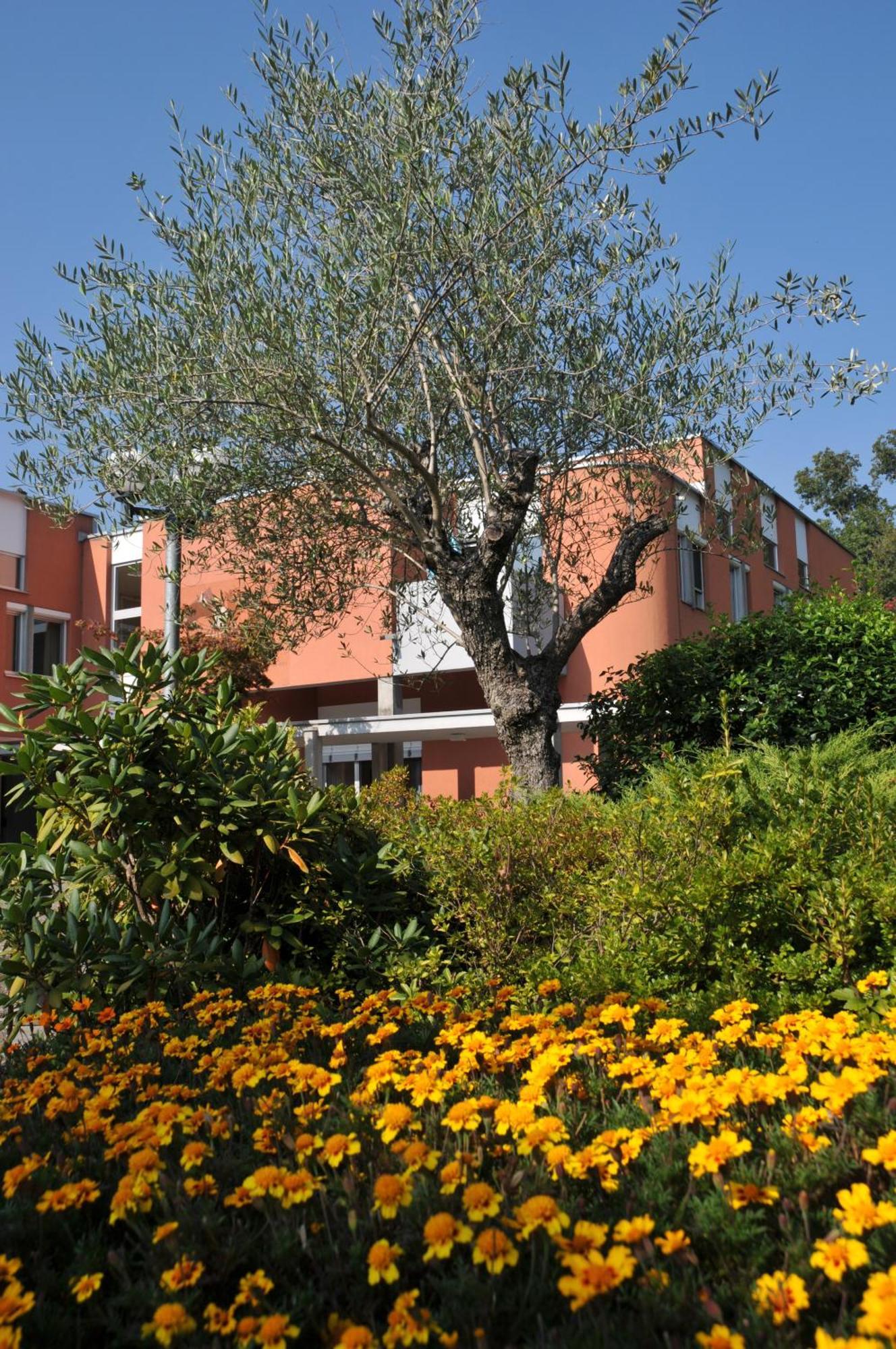 Centro Magliaso Hotel Eksteriør billede